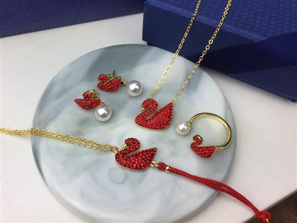 20242615450149 40404035